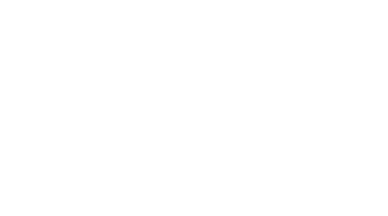 ARIDA II logo (white)