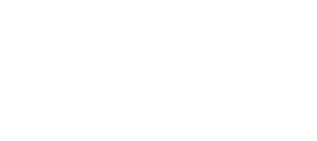 ARIDA Definitive Edition logo (white)
