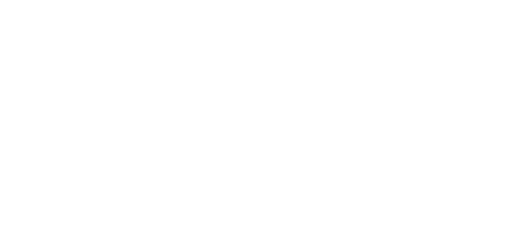 ARIDA logo (white)